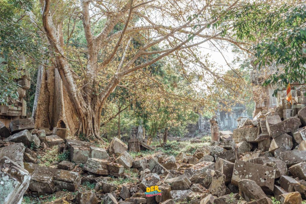 Web-PreahKhanKampongSvay-25