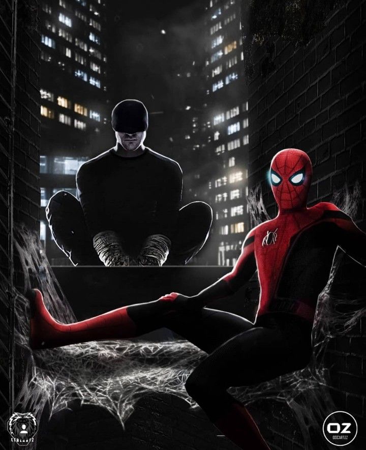 daredevil and spiderman (5)