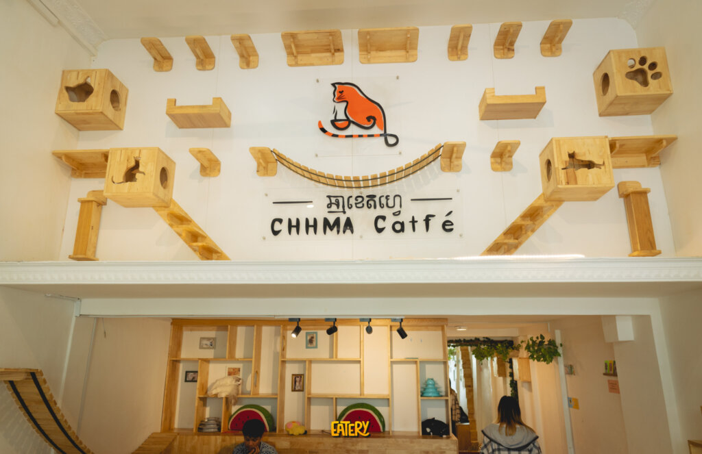 Chhma catfe (9)